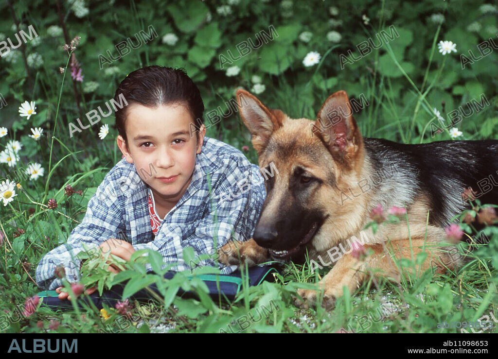 Rex grows up with eight-year-old Benny (RAPHAEL GHOBADLOO) in an idyllic mountain village. Together they experience many adventures in the countryside and later in Vienna. Director: Oliver Hirschbiegel / Title: BABY REX - DER KLEINE KOMMISSAR / AUT 1997.