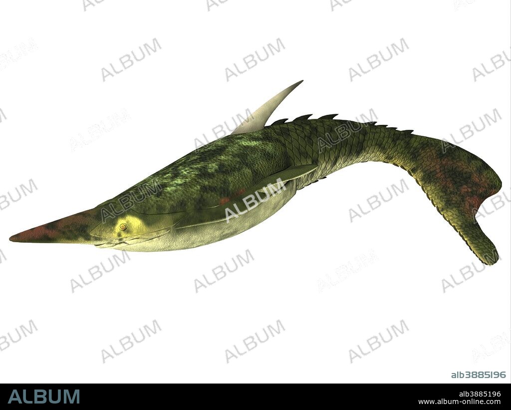 Pteraspis is an extinct genus of jawless fish that lived in the Devonian Period.