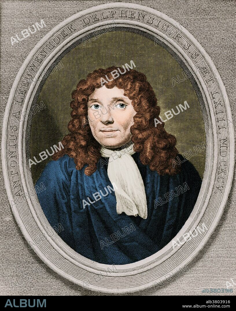 Antonie Philips van Leeuwenhoek (October 24, 1632-August 26, 1723) was a Dutch tradesman and scientist. He is known as "the Father of Microbiology", and considered to be the first microbiologist. He is best known for his work on the improvement of the microscope and for his contributions towards the establishment of microbiology. Using his handcrafted microscopes, he was the first to observe and describe single-celled organisms, which he originally referred to as animalcules, and which we now refer to as micro-organisms. Van Leeuwenhoek's main discoveries are: the infusoria (protists in modern zoological classification, in 1674) the bacteria, (large Selenomonads from the human mouth in 1676), the vacuole of the cell, the spermatozoa (1677) and the banded pattern of muscular fibers (1682). Van Leeuwenhoek ground more than 500 optical lenses and created at least 25 microscopes, of differing types, of which nine survive and are capable of magnification up to 275 times.