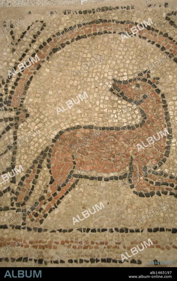 ARTE PALEOCRISTIANO. GRECIA. Fragmento de un MOSAICO. Fechado entre los siglos V y VI. Procede de la basílica paleocristiana de Paleópolis mandada construir por el Obispo JOVIAN. Museo de la Fortaleza Vieja. Corfú. Isla de Corfú. Islas Jónicas.