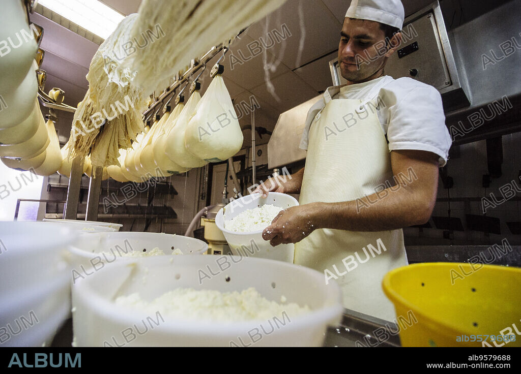 fabricacion artesanal de queso Binigarba - denominacion de origen Mahon artesano- finca Binigarba, Ciutadella, Menorca, Islas Baleares, españa, europa.