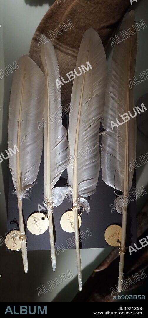 Swan feathers, used for quill pens. The feathers were gathered when the birds moulted in late summer. 19th century, Iceland.