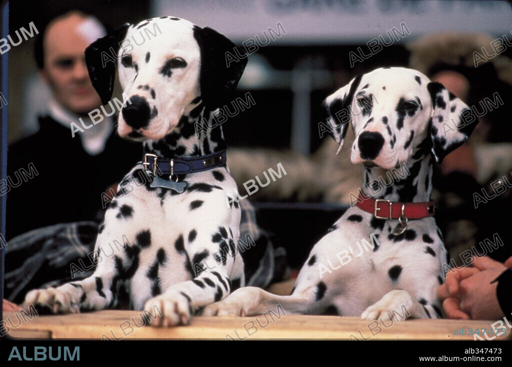 102 DÁLMATAS, 2000 (102 DALMATIANS), dirigida por KEVIN LIMA. Copyright WALT DISNEY PRODUCTIONS.