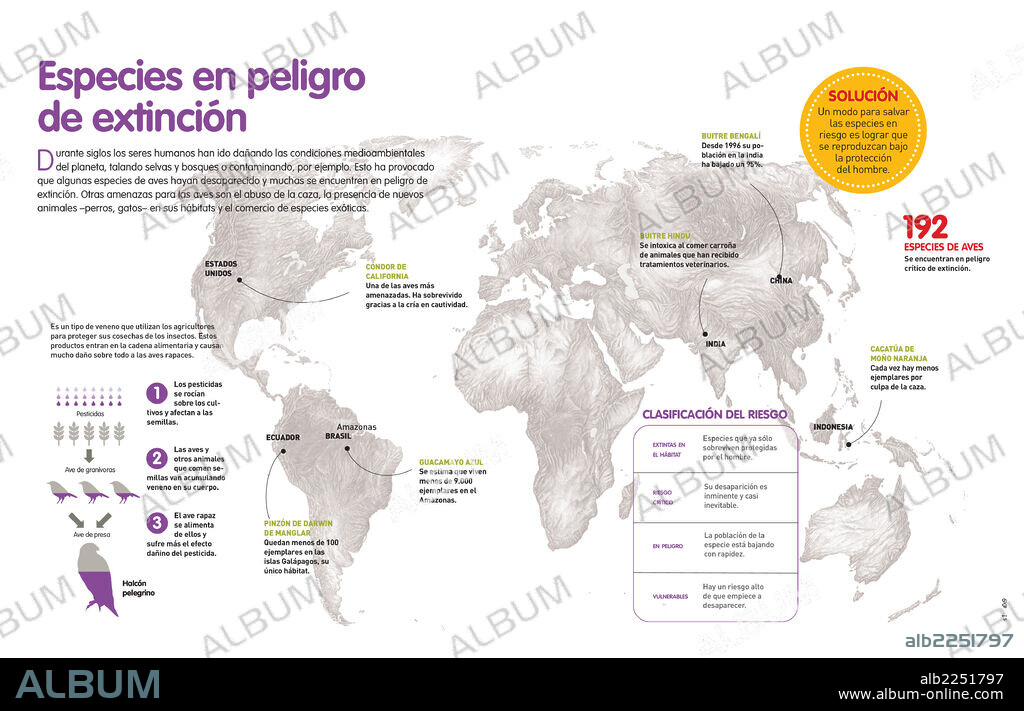 ESPECIES EN PELIGRO DE EXTINCION. Infografía sobre las aves que se encuentran en peligro crítico de extinción y las consecuencias de la utilización de pesticidas para las aves.