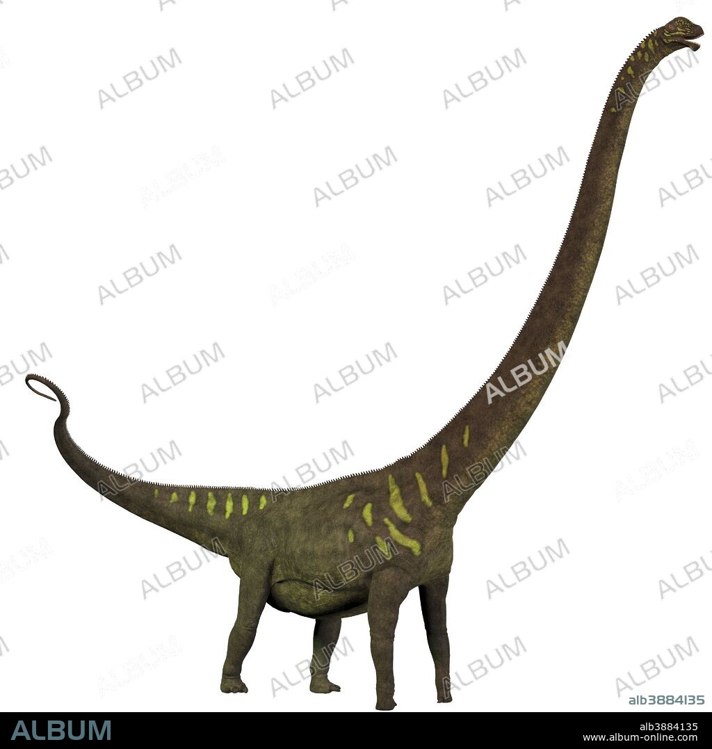 Mamenchisaurus, a plant-eating sauropod dinosaur from the late Jurassic Period of China.