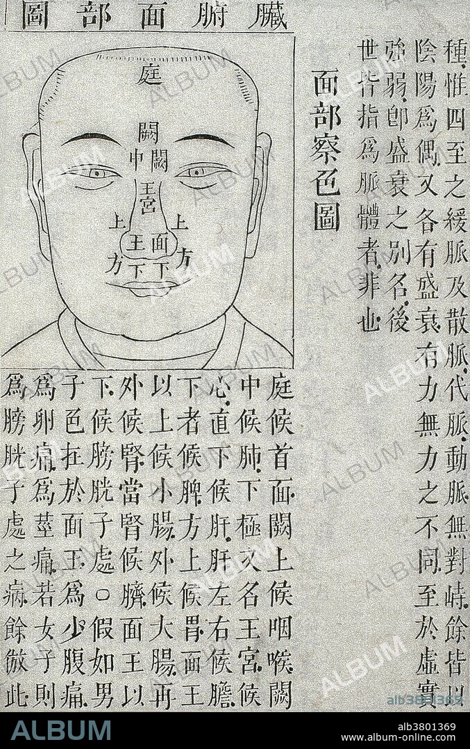 Physiognomy diagnosis chart, woodcut, 1817 edition of Bian Que maishu nan jing (Canon of Problems in Bian Que's Book of the Pulse) by Xiong Qinghu (Qing period). Each sector of the face corresponds to an internal organ. Ting (courtyard) head; queshang (above watch towers) throat; quezhong (between watch towers) lungs; and xiaji (the lower pole), also called wang gong (Royal Palace), heart. Zhixia (Lower Rectitude) liver, is flanked on left and right by sectors corresponding to the gall bladder,and below it lies the sector of the spleen. Fangshang (Upon the Square) corresponds to the stomach. The area from mianwang (Lord of the Face) upwards corresponds to the small intestine; around this is the area corresponding to the large intestine; and extending outwards from that is the area corresponding to the kidneys. By the kidneys is the sector corresponding to the navel. Below mianwang is the area corresponding to the bladder and genitalia.