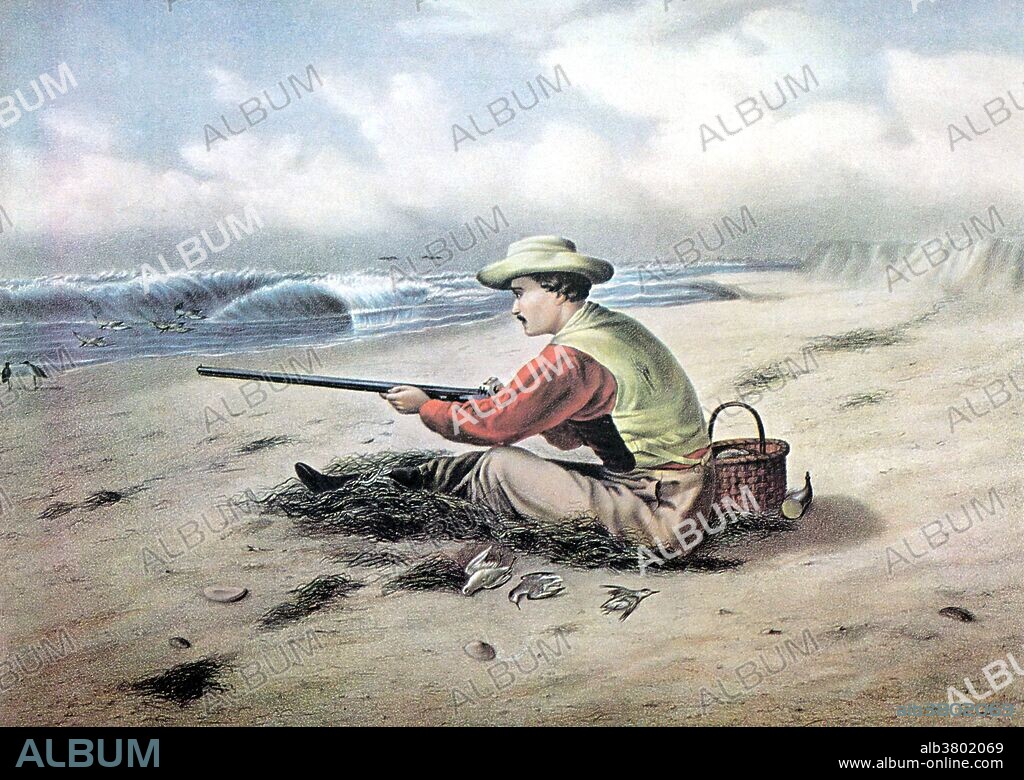 Lithograph entitled: "Beach Snipe Shooting, 1869." A lone hunter sits cross-legged on the beach pointing his rifle towards the water, where the common snipe frequents. His day is successful, evident from the several birds that lie next to him. A snipe is any of about 25 wading bird species in three genera in the family Scolopacidae. They are characterized by a very long, slender bill and crypsis plumage. The Gallinago snipes have a nearly worldwide distribution. Camouflage may enable snipe to remain undetected by hunters in marshland. If the snipe flies, hunters have difficulty estimating a correct aiming lead for the bird's erratic flight pattern. The difficulties involved in hunting snipe gave rise to the term "sniper," referring to a skilled anti-personnel military sharpshooter.