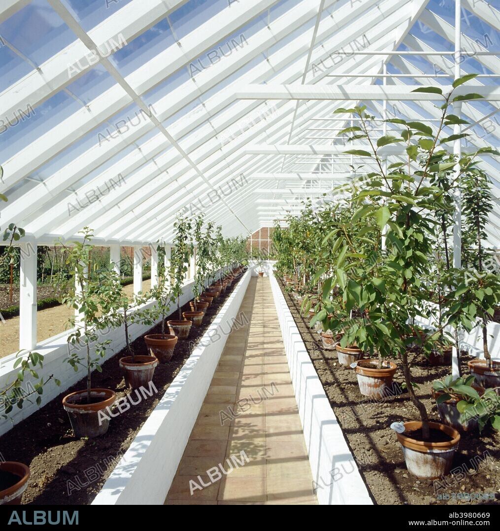 Kitchen garden, Audley End House and Gardens, Saffron Walden, Essex, c2000s(?). Interior view of the orchard greenhouse in August.