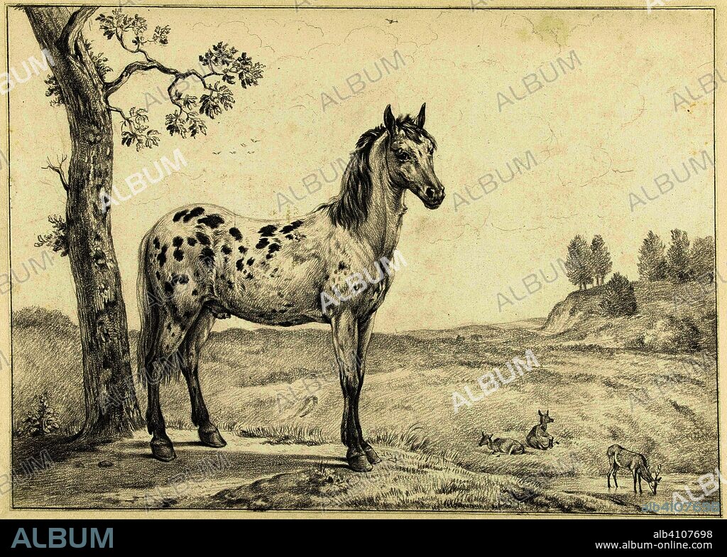 Standing mottled horse, to the right, in a landscape. Draughtsman: Jean Bernard. Dating: 1775 - 1833. Measurements: h 308 mm × w 430 mm.