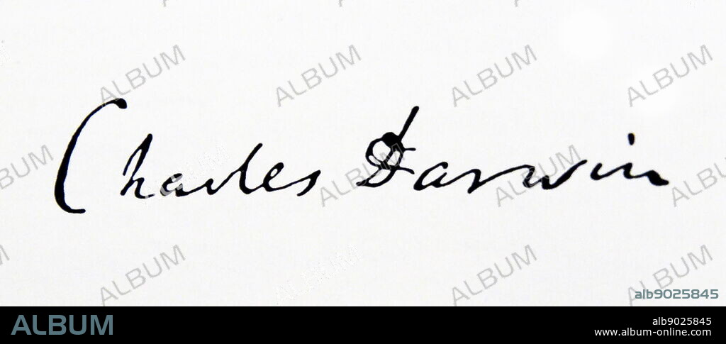 Signature of Charles Darwin (1809-1882) an English naturalist and geologist. Dated 19th Century.
