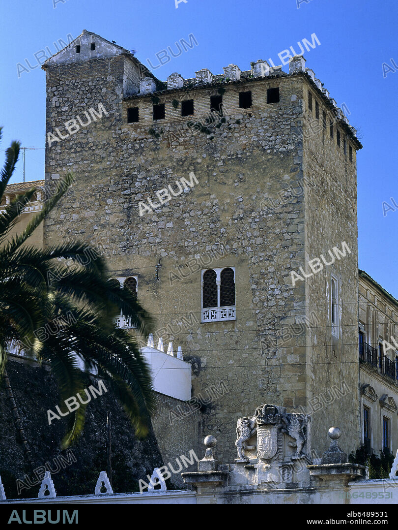 CASTILLO DE LOS CONDES DE CABRA ANTIGUA FORTALEZA DE ORIGEN ARABE QUE FUE REEDIFICADA EN EL SIGLO XIV.