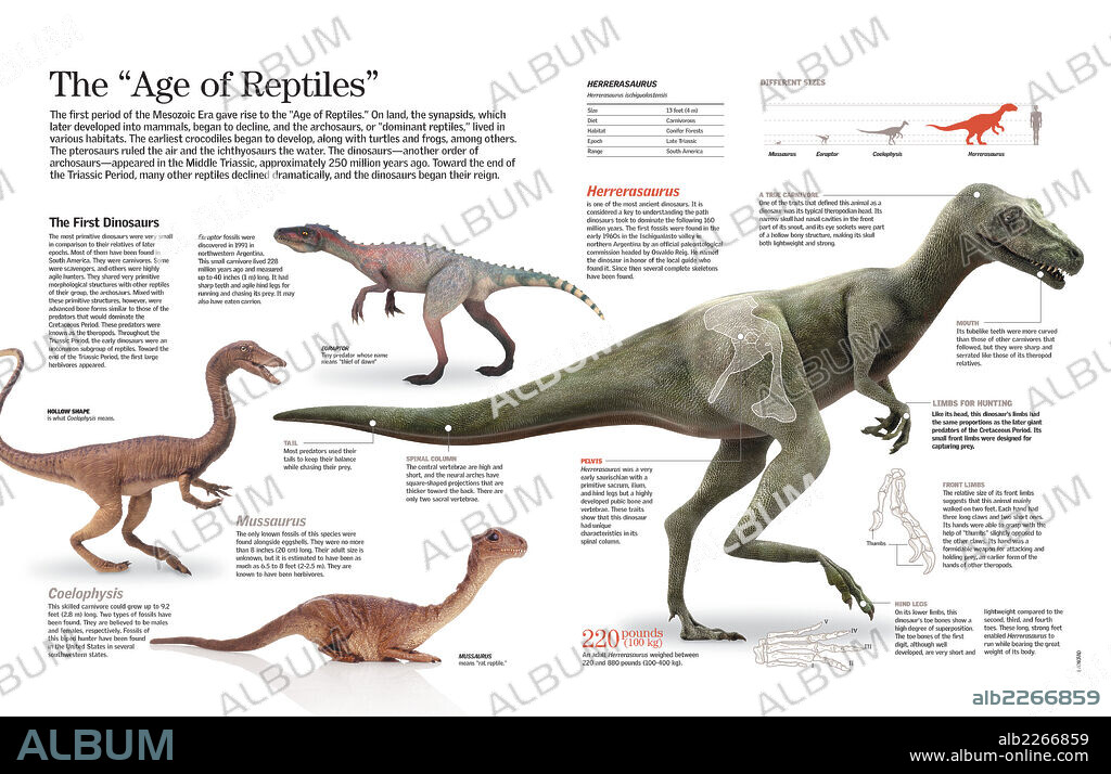 La era de los reptiles. Infografía de los dinosaurios que vivieron en el período Triásico.