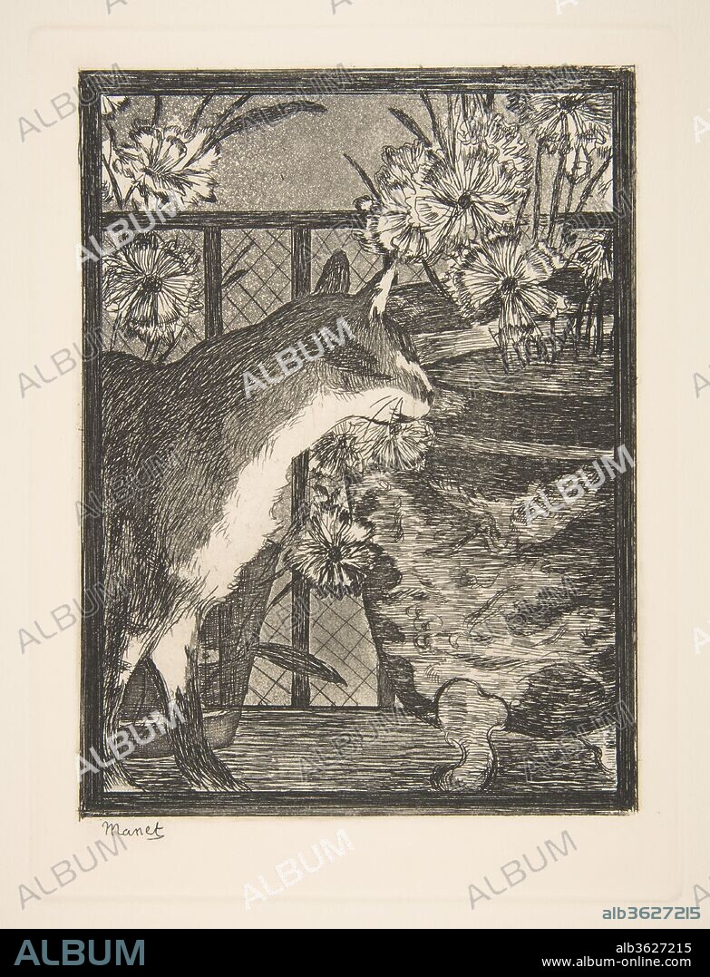EDOUARD MANET. Cat and Flowers. Artist: Édouard Manet (French, Paris 1832-1883 Paris). Dimensions: plate: 7 7/8 x 5 7/8 in. (20 x 14.9 cm)
sheet: 13 1/4 x 8 7/8 in. (33.7 x 22.5 cm). Date: 1869.