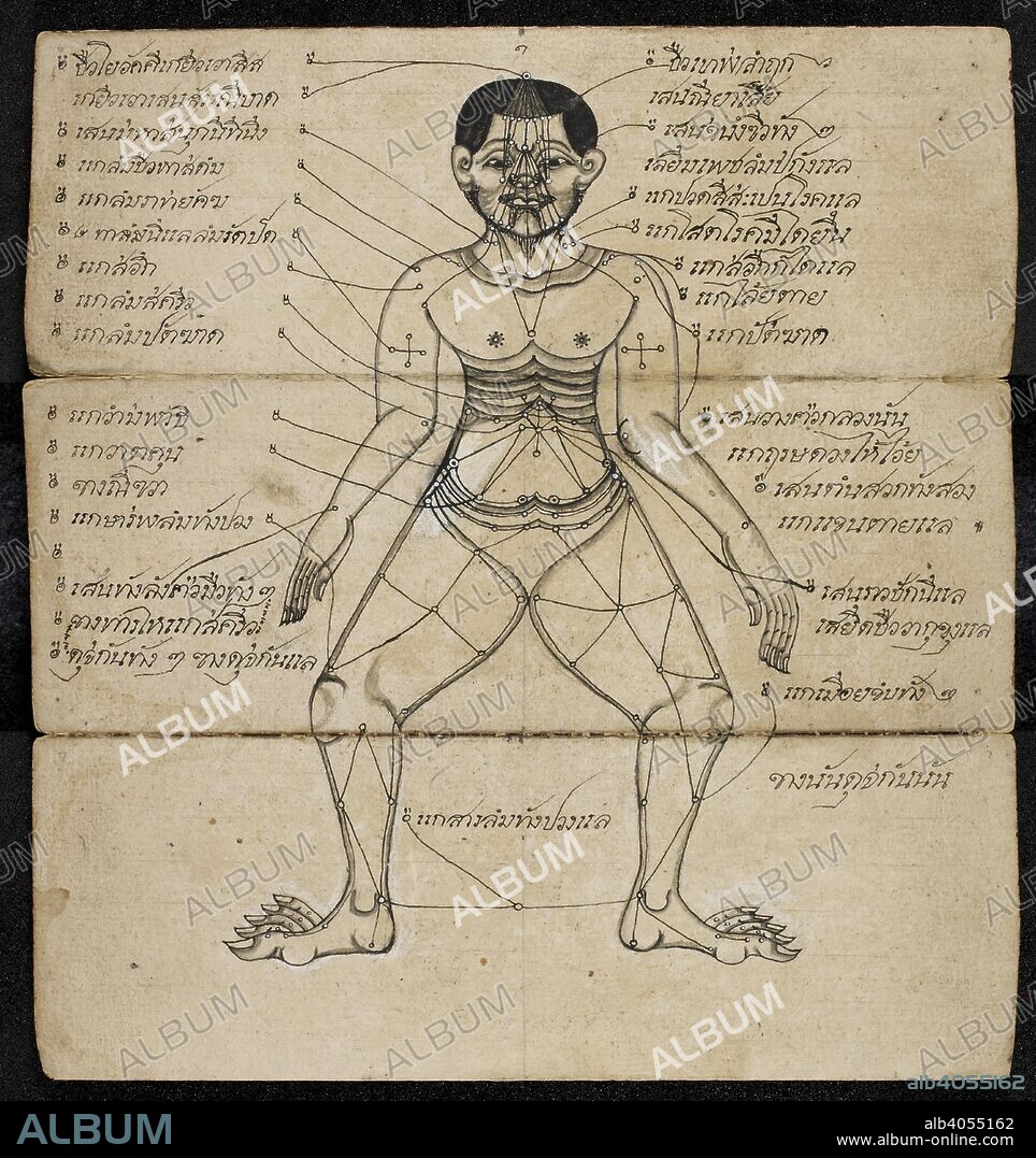 Thai medical diagram showing the pressure points on a Human body. Massage treatise. Thailand, 1800 - 1850. Paper folding book (samut khoi). Dimensions: 355 mm x 127 mm. Script: 4 lines per side, 31 cm long. Thai script. Source: Or. 13922 f.6-7. Language: Thai.
