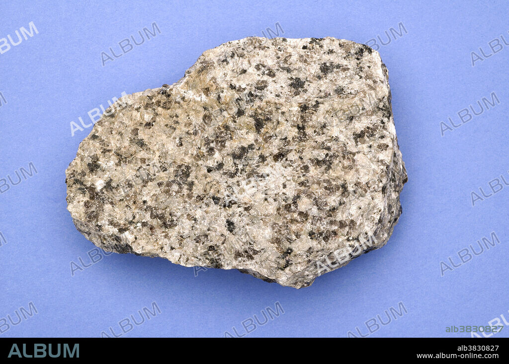 A sample of Hornblende Granite.