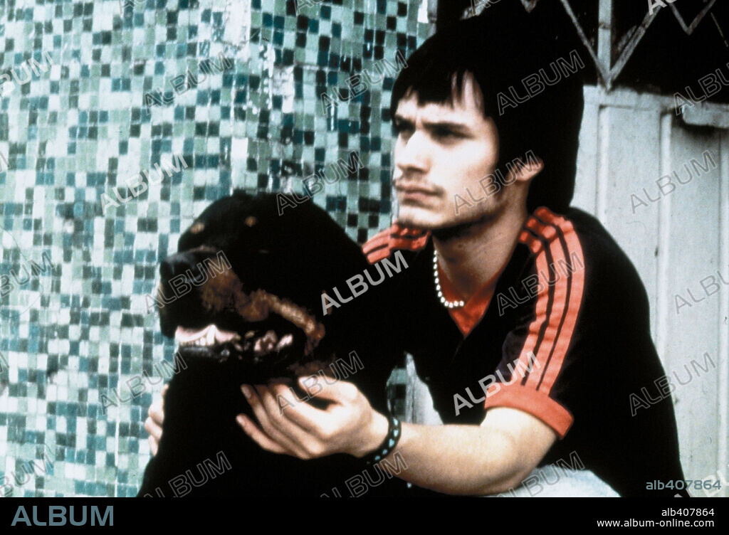 GAEL GARCIA BERNAL en AMORES PERROS, 2000, dirigida por ALEJANDRO GONZALEZ IÑARRITU. Copyright LIONS GATE FILMS / PRIETO, RODRIGO.