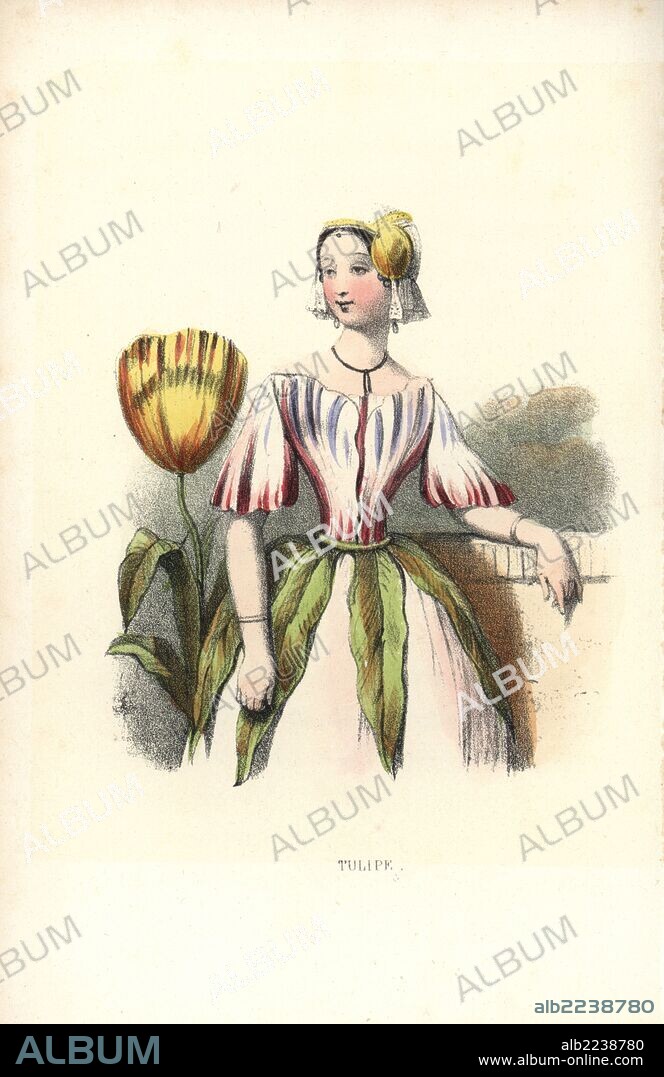 Tulip flower fairy, Tulipa gesneriana, with bodice of petals and dress of leaves. Handcoloured lithograph by Louis Lassalle from Louise Leneveux' Les Fleurs Parlantes (The Talking Flowers), Louis Janet, Paris, 1848.