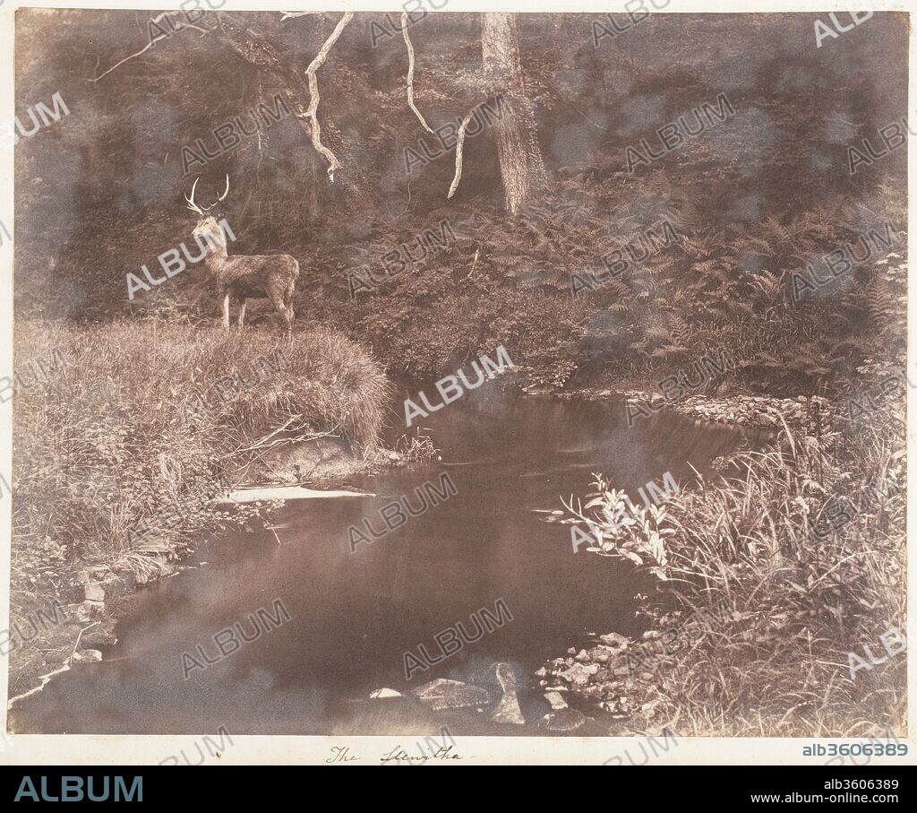 The Lewitha. Artist: John Dillwyn Llewelyn (British, Swansea, Wales 1810-1882 Swansea, Wales). Dimensions: Image: 19.4 × 23.9 cm (7 5/8 × 9 7/16 in.). Date: 1853-56.