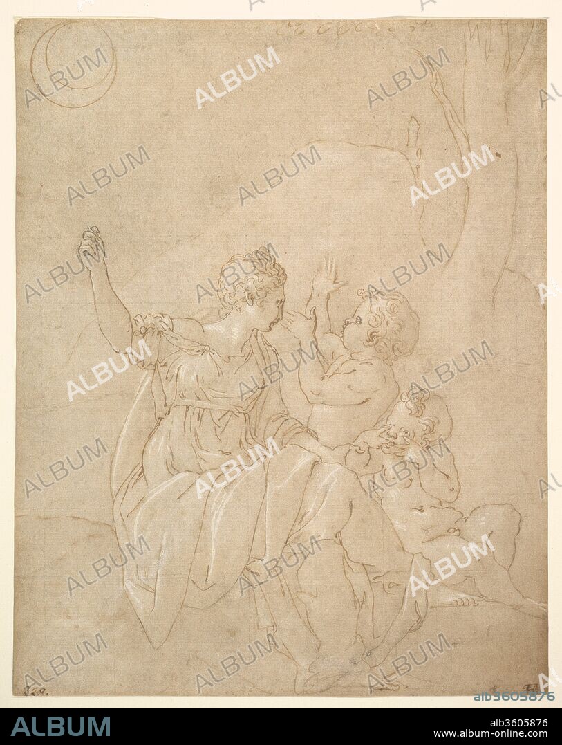 Classical Female Figure (Diana or Venus) with Two Infants. Artist: Francesco Primaticcio (Italian, Bologna 1504/5-1570 Paris). Dimensions: sheet: 9 15/16 x 7 15/16 in. (25.2 x 20.1 cm). Date: ca. 1539-42.
The Italian artist Primaticcio went to France early in his career to work for the French king, Francis I. Although most of Primaticcio's energies went into decorating the great palace of Fontainebleau, the present drawing was probably executed for Anet, the château built for Henry II's mistress, Diane de Poitiers (1499-1566). The main figure in the drawing may be Diana: although she lacks her attribute of the crescent crown on her head, she points at the crescent moon at upper left.  Diane de Poitiers, was frequently alluded to through the portrayals of Diana, goddess of the hunt, and her attributes.  Alternatively, the subject of the drawing was tentatively identified as Venus with Eros and Anteros, when published in 1986

Three other drawings by Primaticcio relating to his work at Anet survive; they are the same size and are executed in the same delicate manner with light brown ink and wash. Like this drawing, they illustrate scenes from the story of the mythological goddess Diana, and it has been suggested that they were for a series of stained-glass windows. The emphasis on outline and the bold, simple design corroborate this idea.  The sheet is annotated by a well-known early collector in pen and dark brown ink at lower left: "228."; and on verso at center: "cxlij" terminating in a paraph. Hitherto unnoticed, the paper contains a watermark, cropped down the middle by the left border, depicting a stylized bunch of grapes (closest to Briquet 13073).  It is typical of paper manufactured in Lyons, ca. 1565; more naturalistic variants of this type of watermark date to the late 15th century.