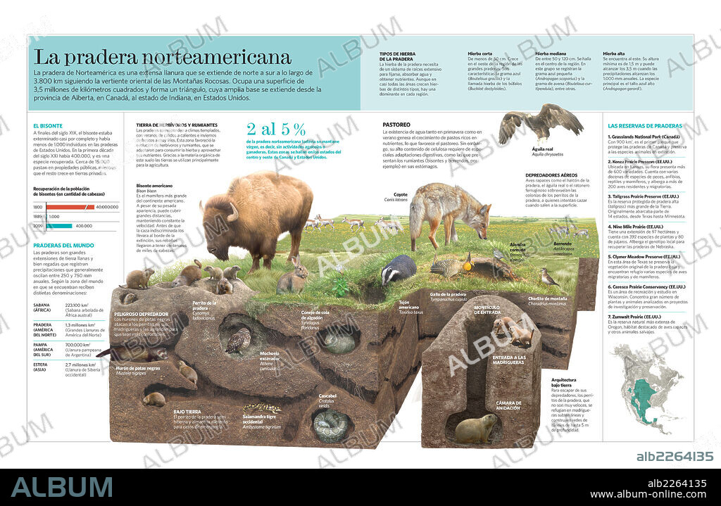 La pradera norteamericana. Infografía sobre las características climáticas, la fauna y la flora de la pradera norteamericana.