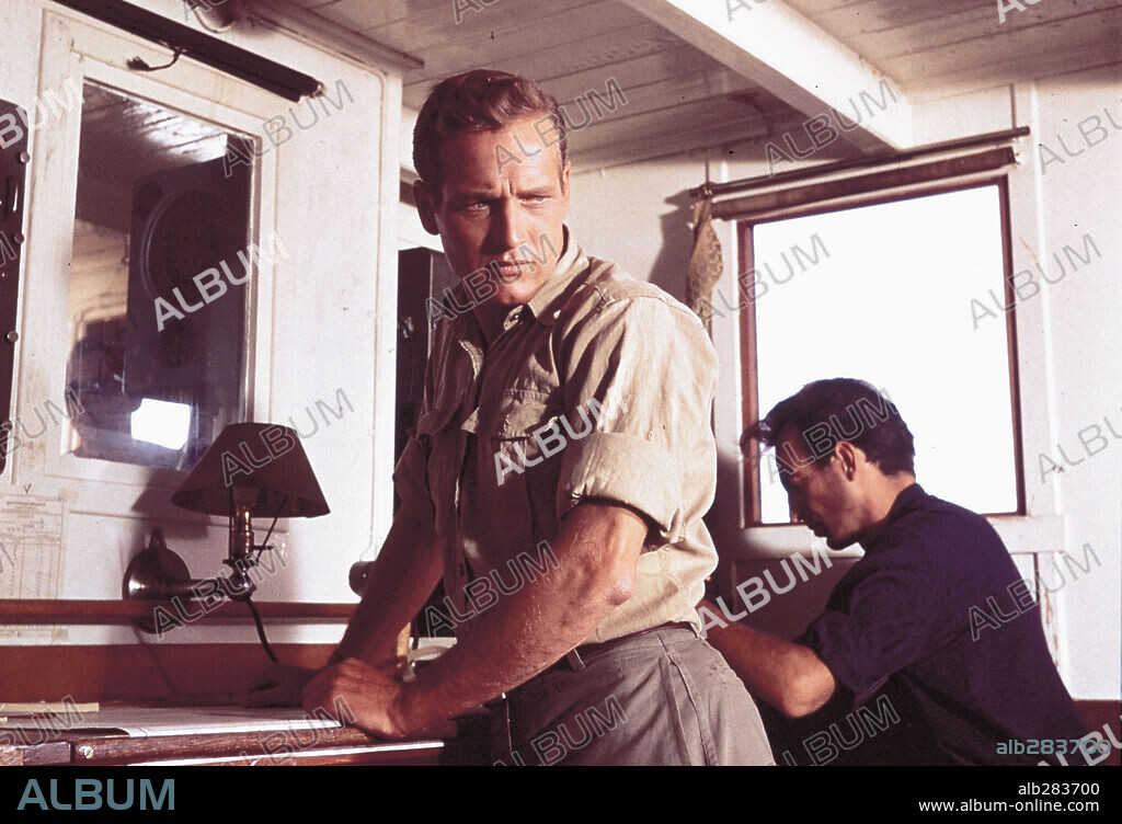 PAUL NEWMAN en EXODO, 1960 (EXODUS), dirigida por OTTO PREMINGER. Copyright UNITED ARTISTS.