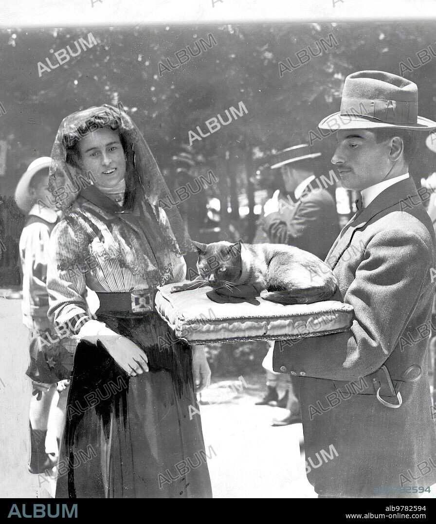 Madrid, June 1911. Exhibition of dogs, cats and birds. Tintin, notable specimen of Siamese cat belonging to Concepción de Castro.