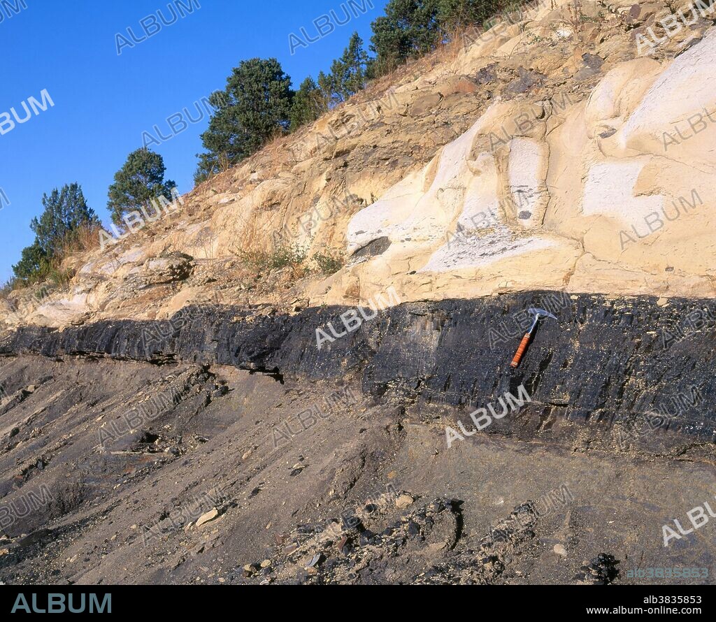 Coal Seam from Upper Cretaceous