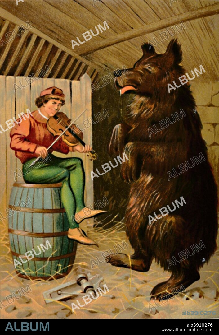 'The Dancing Bear', 1901. The Brave Little Tailor or The Valiant Little Tailor or The Gallant Tailor, is a German fairy tale collected by the Brothers Grimm. From Grimm's Household Stories collected by the Brothers Grimm. [George Routledge & Sons, Limited, London, 1901].