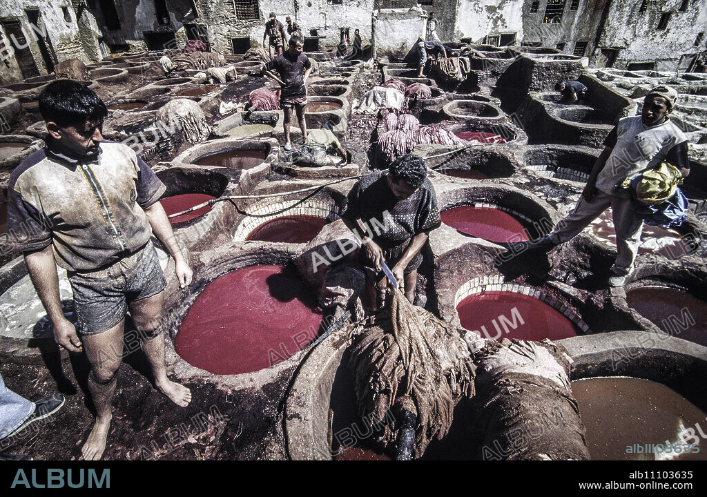 Tanneries (Souk Dabbaghin). Fes el Bali. Fez. Imperial City. Morocco. Africa.