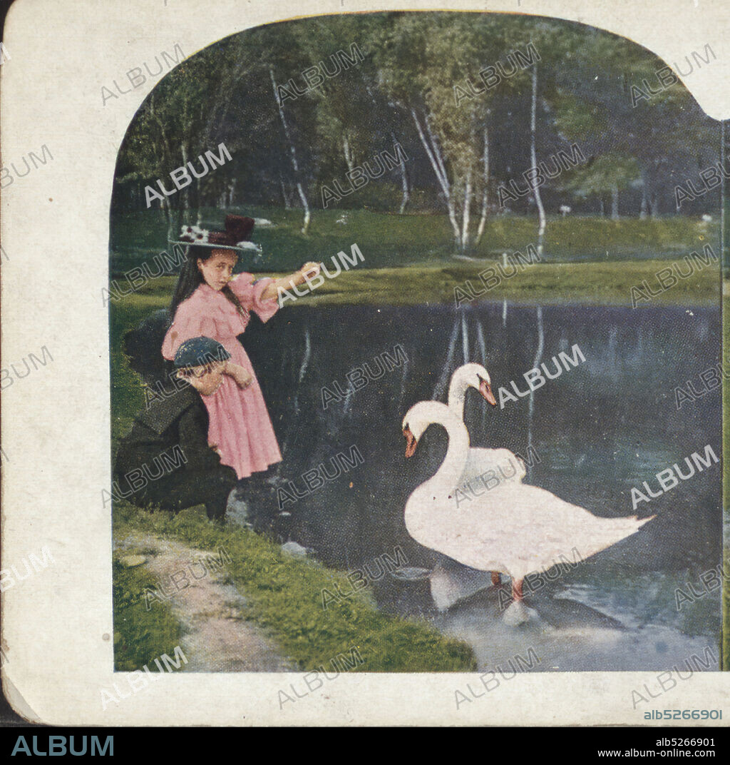 Feeding the swan in the park., Ingersoll, T. W. (Truman Ward) (1862-1922), 1898, New York (State), New York (N.Y.), New York, Central Park (New York, N.Y.), Manhattan (New York, N.Y.).