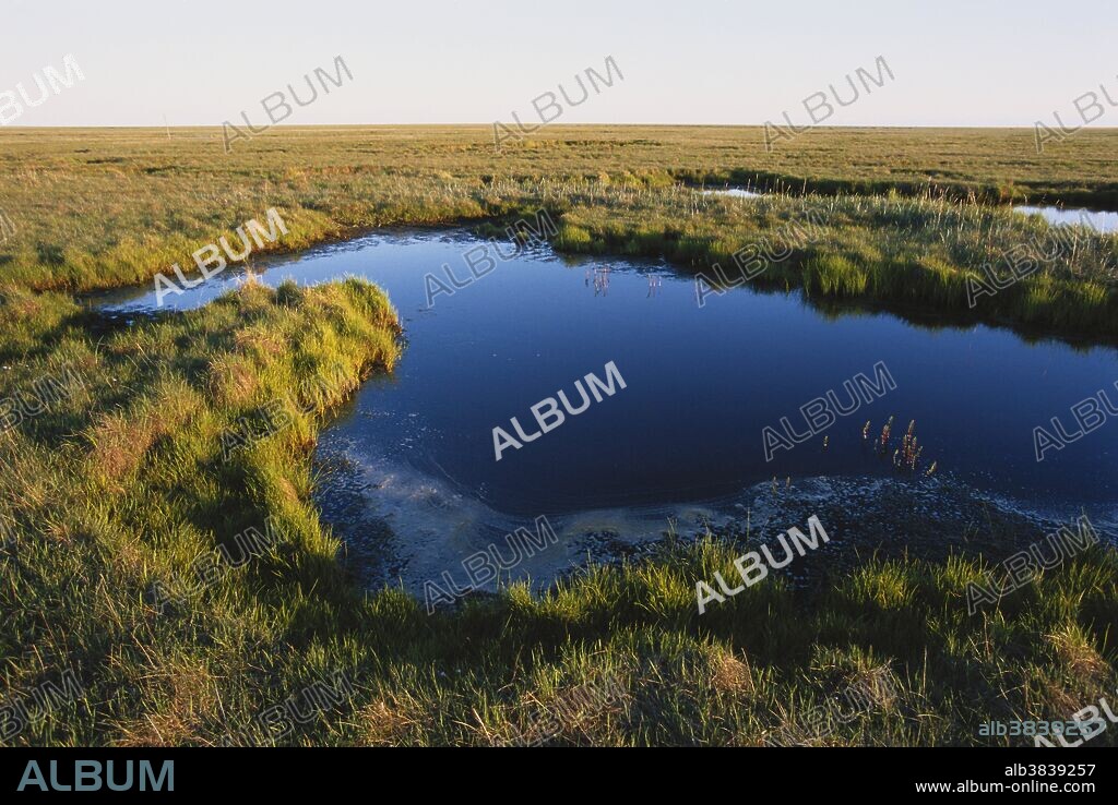 Coast/wetland habitat in Yukon Delta National Wildlife Refuge, Alaska.