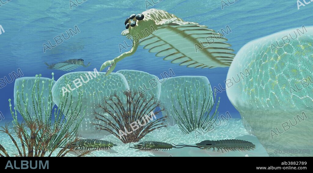 Trilobites try to hide from predator Opabinia in a Cambrian sea full of stromatolites.