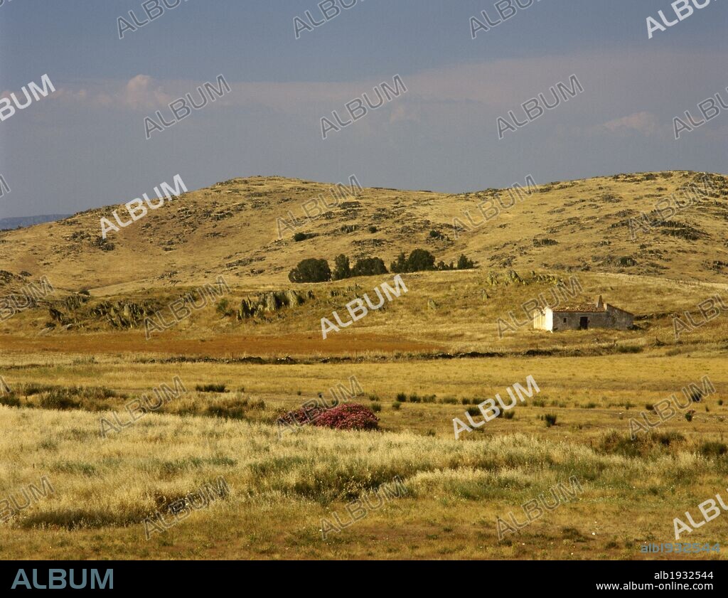 EXTREMADURA. Panorámica del paisaje de la COMARCA DE LA SERENA planicie esteparia con una acusada deforestación, con algunas parcelas de bosque mediterráneo. Alrededores de Campanario. Provincia de Badajoz. España.
