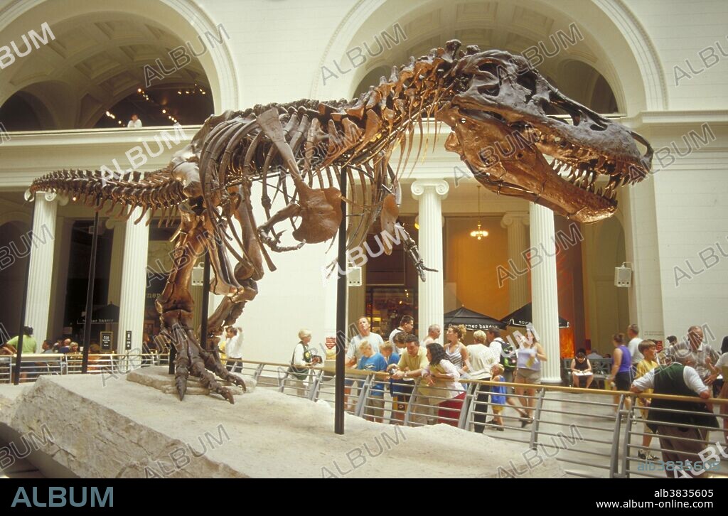 Tyrannosaurus Rex skeleton named "Sue" in the Field museum of Chicago.