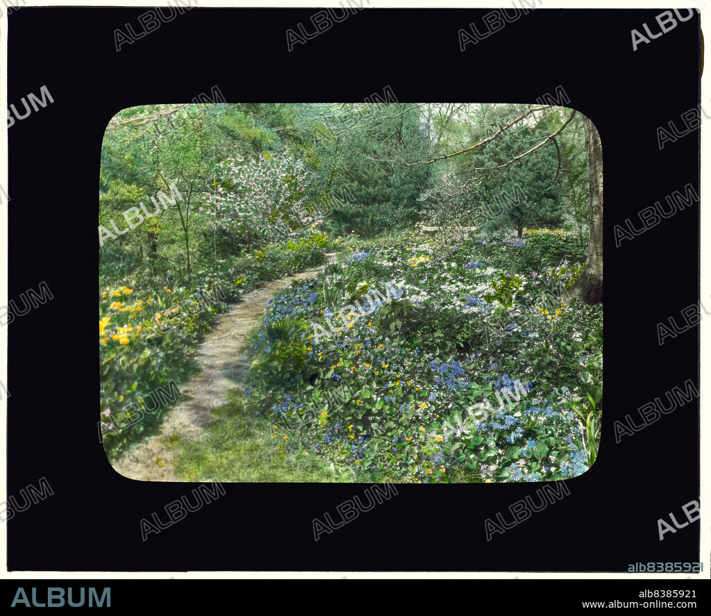 FRANCES BENJAMIN JOHNSTON. Possibly Herbert Livingston Satterlee Garden, Great Head, Bar Harbor, Maine, 1924. Site History. Camp with multiple buildings from 1911. Landscape: Beatrix Jones Farrand, designed 1921.