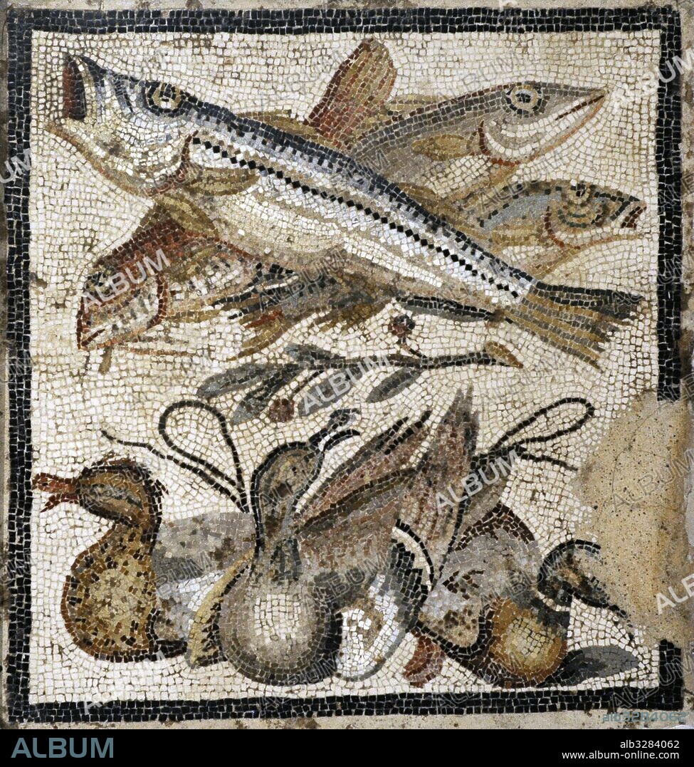 Roman mosaic. Fish and ducks. From Pompeii, Casa del Granduca di Toscana (IX, 2, 27). 1st century BC. National Archaeological Museum, Naples. Italy.