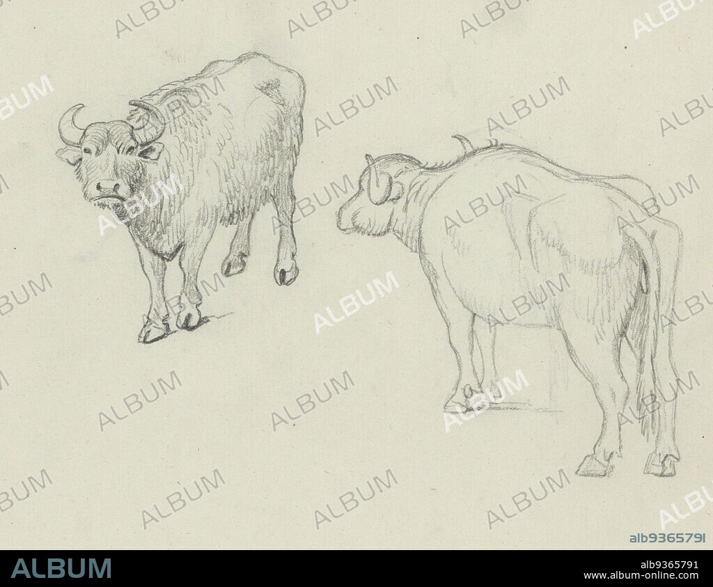 Sheet 21 recto from a sketchbook with 28 sheets, oxen and a horn, Abraham Teerlink, c. 1808 - c. 1857.