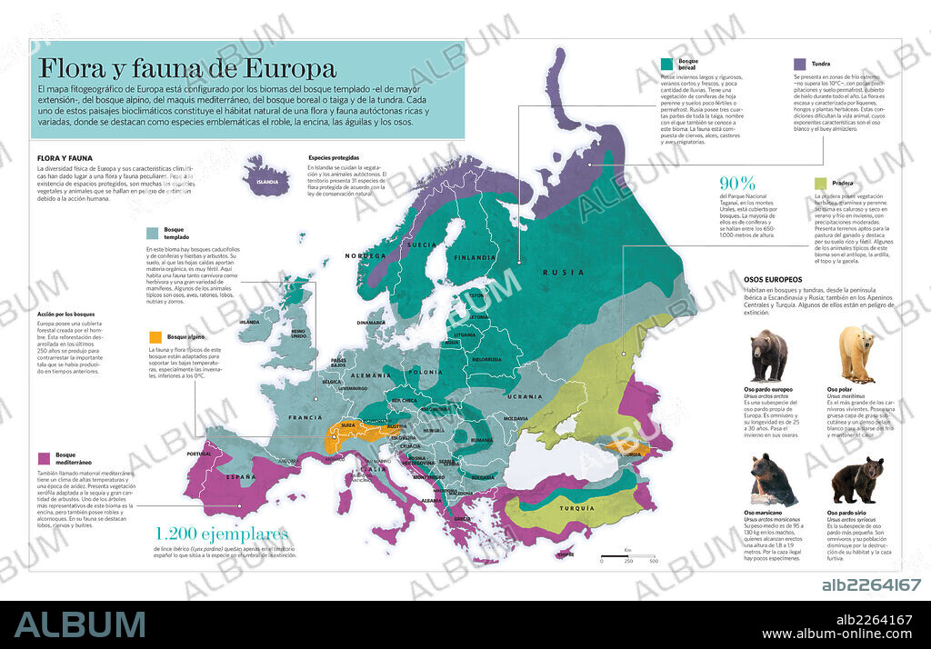 Flora y fauna de Europa. Infografía acerca de los biomas y ecosistemas de la flora y la fauna de Europa.