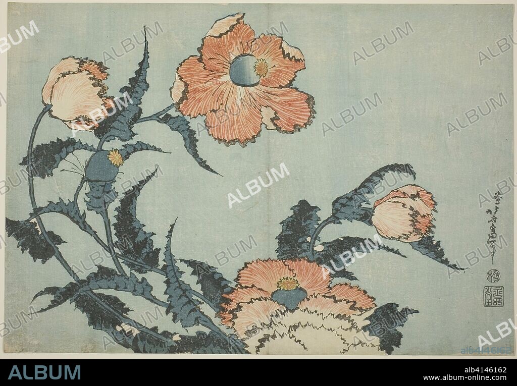 掛け軸 普門暁 『 一輪の花 』 紙本 希少 未来派 前衛美術 掛軸 美品 です 掛け軸 普門暁 『 一輪の花 』 紙本 希少 未来派 前衛美術 掛軸 美