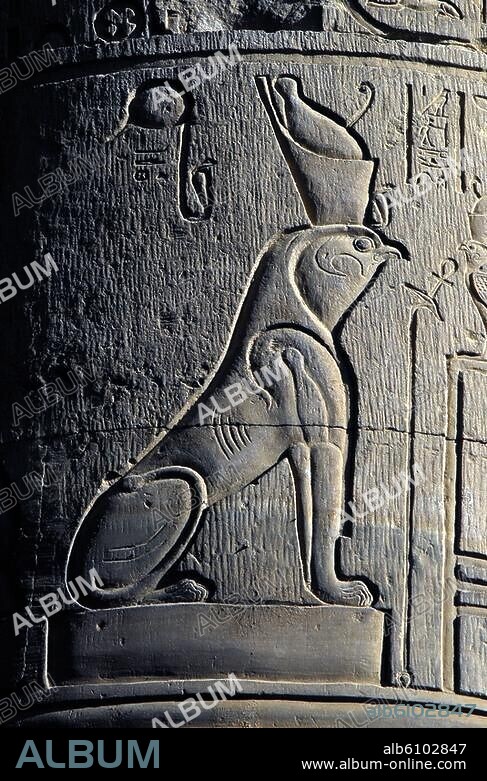 Kom Ombo (Oberägypten), Tempel (Doppelheiligtum, dem Krokodilgott Sobek und dem falkenköpfigen Haroeris geweiht; ptolemäische und römische Zeit, 3.Jh.v.Chr.-3.Jh.n.Chr.),-Relief an einer Säule mit zoomorpher Gottheit.-Foto, 2007.