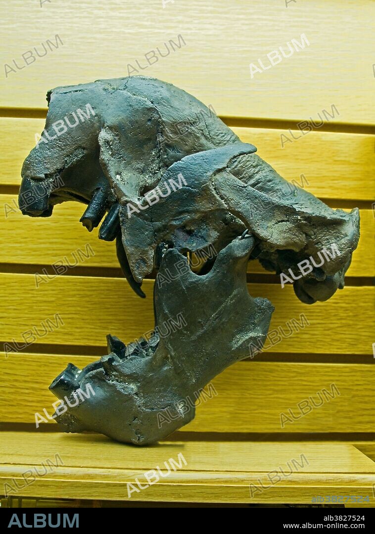 Giant Ground Sloth (Megalonyx wheatleyi).