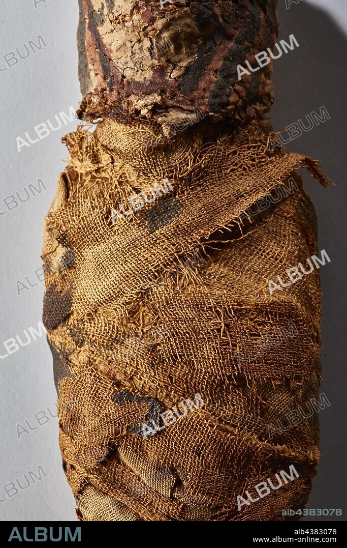 mummified hawk, Egyptian, 1550-1370 B.C.E., mummified hawk, oil, resin, linen, pigment, 12-1/4 x 3-1/4 x 2-3/4 in., Ancient Art of the Mediterranean.