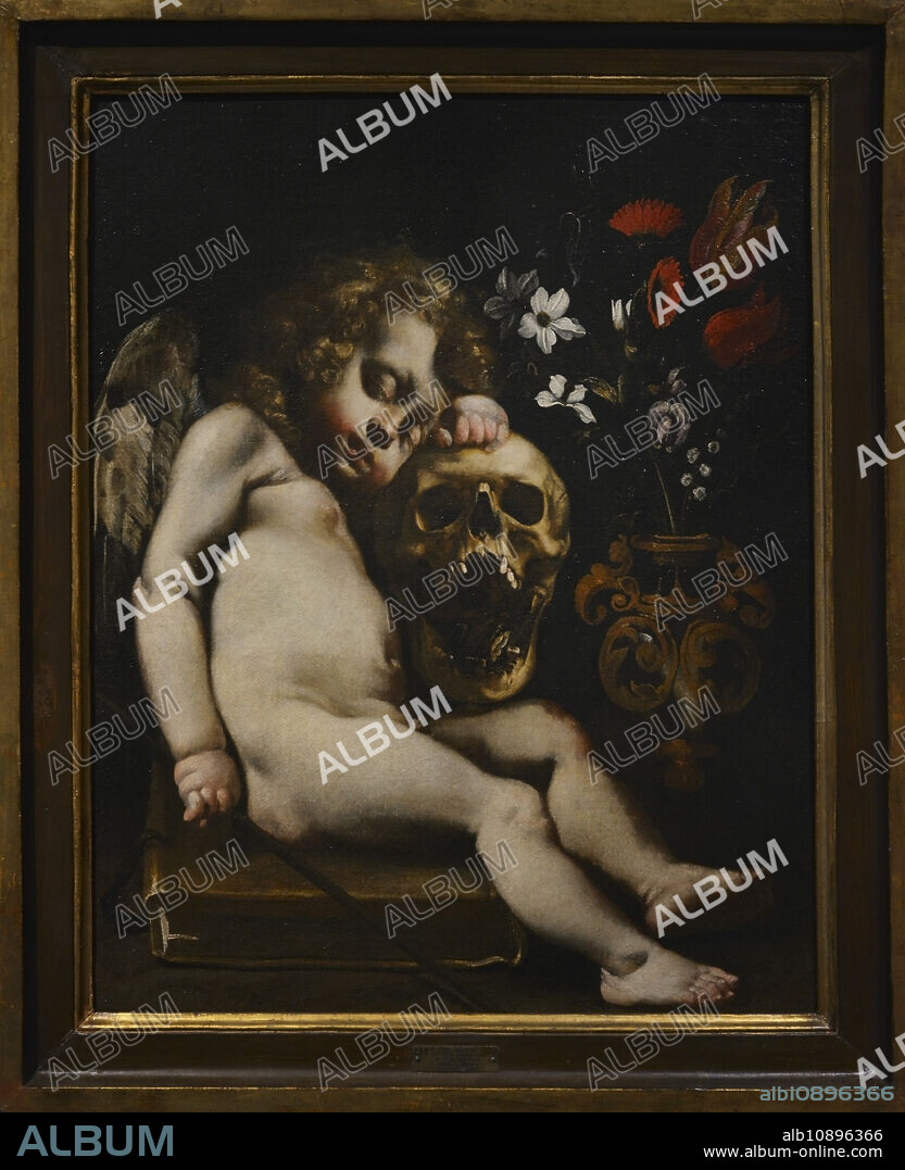 LUIGI MIRADORI, CALLED "IL GENOVESINO" (CA. 1610-1656). ITALIAN PAINTER.. Luigi Miradori, llamado il Genovesino (h. 1610-1656). Pintor italiano. Cupido durmiendo (Vanitas), h. 1650. Oleo sobre lienzo (76 x 61 cm). Museo Civico Ala Ponzone. Cremona. Italia.