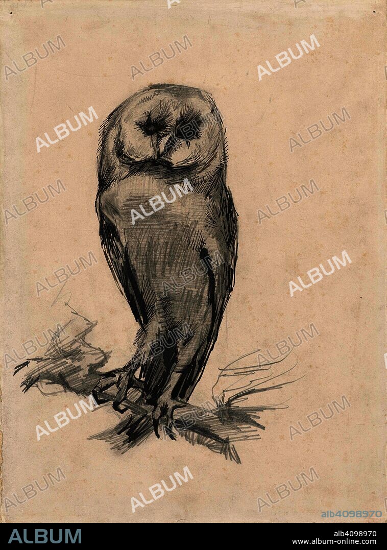 VINCENT VAN GOGH. Barn Owl Viewed from the Front. Date: April-September 1887, Paris. Dimensions: 35.3 cm x 26.2 cm.