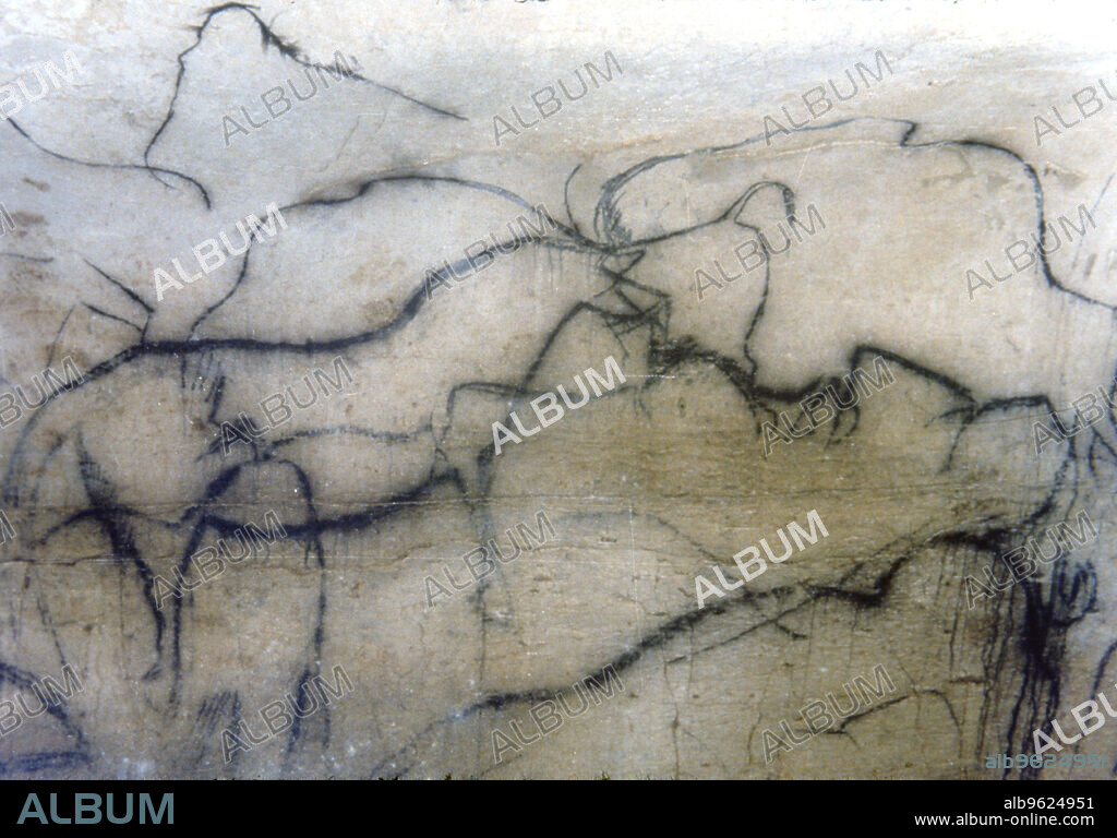 Chapel of mammoths (Pech-Merle Cave): black horse and bisons, they have been represented by the profile from a solid line, this panel has many different overlapping figures that make identification difficult.