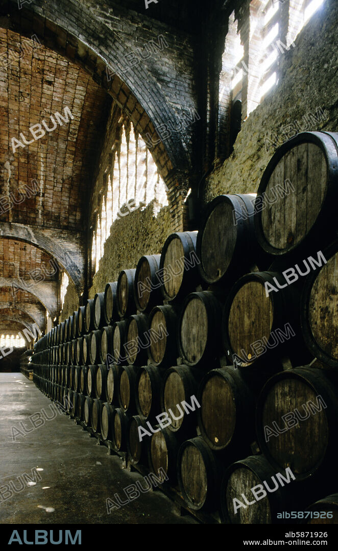 Sant Sadurní d´Anoia, cavas Codorniu, Celler / bodegas; toneles.
