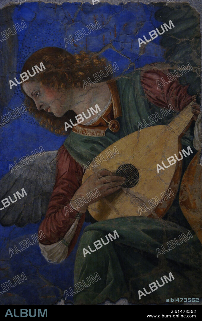 MELOZZO DA FORLÌ. ARTE RENACIMIENTO. ITALIA. MELOZZO DA FORLI (1438-1494). Pintor italiano de la Escuela de Urbino. "ANGEL MUSICO (ANGEL TOCANDO EL LAUD) " (h.1480) Detalle del fresco destruído de la Iglesia de los Santos Apóstoles (Roma). Museos Vaticanos. Ciudad del Vaticano.