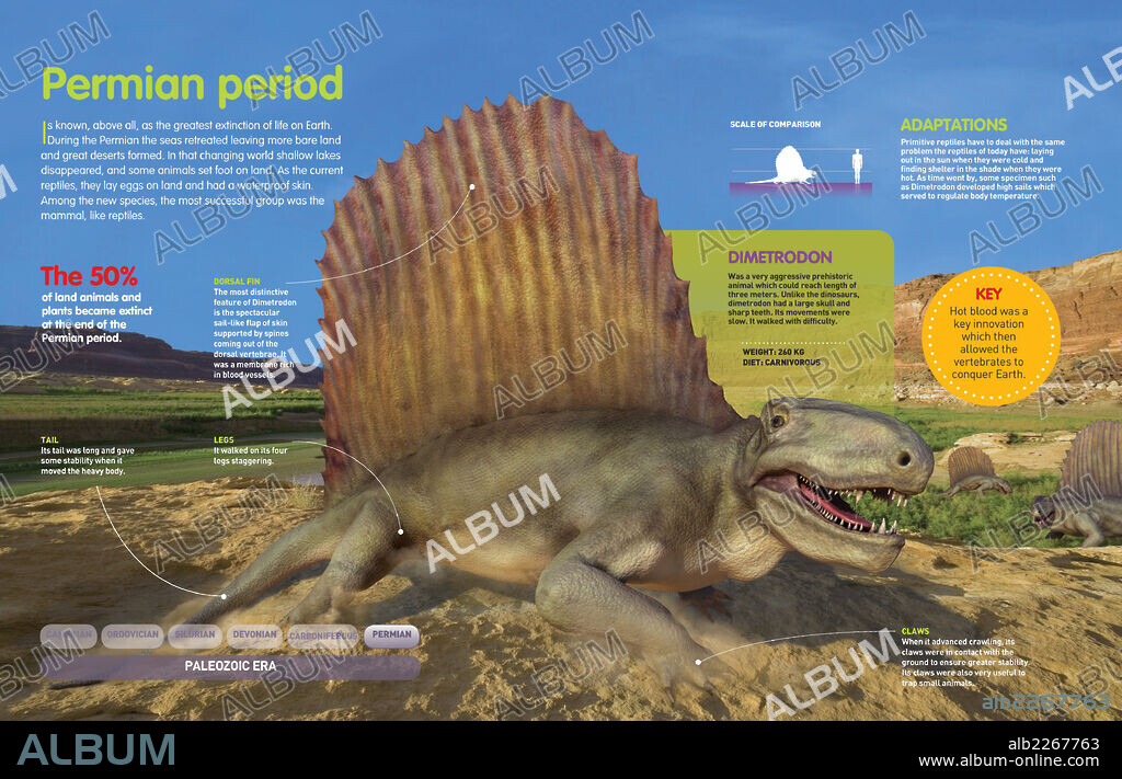 período Pérmico. Infografía de las condiciones ambientales y los animales del período Pérmico (hace 299 millones de años).