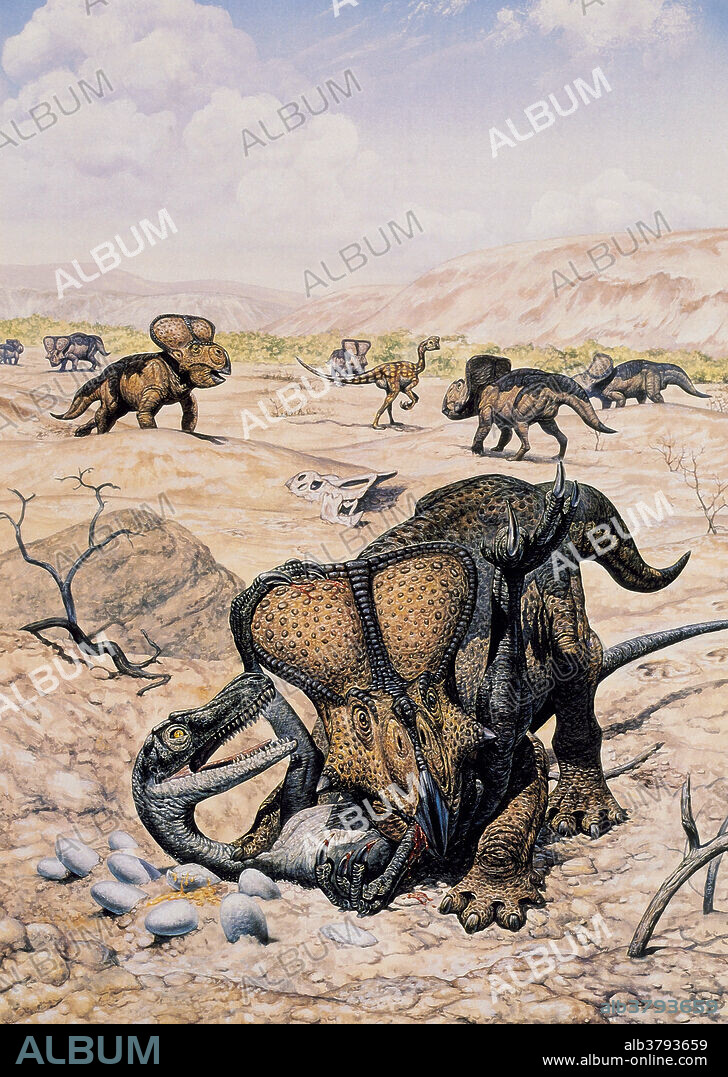 Velociraptor (left) and Protoceratops (right) from the Late Cretaceous era of Asia.
