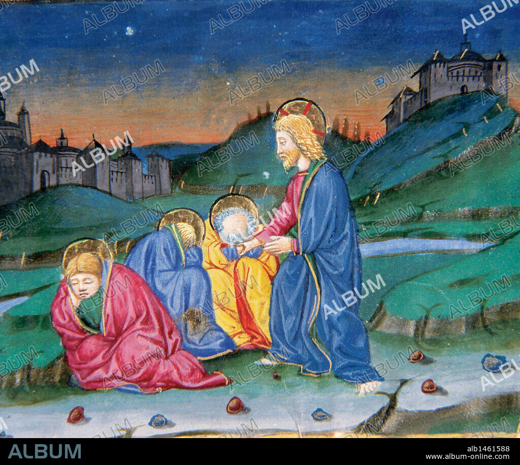 "TRAS ORAR EN EL MONTE DE LOS OLIVOS, JESUS VUELVE CON SUS DISCIPULOS Y SE LOS ENCUENTRA DURMIENDO". Miniatura del Códice de Predis. S. XV. Biblioteca Real. Turín. Italia.